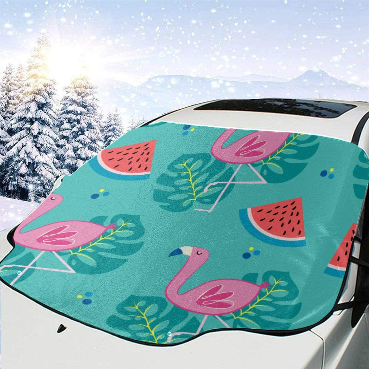 Amazon.com: Funny Car Window Shade Fashion Beautiful Fruit Watermelon