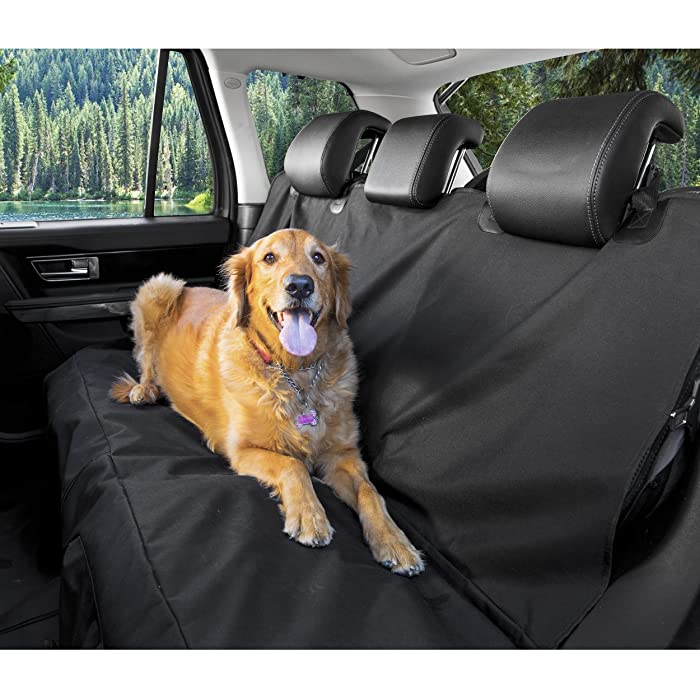 Top 10 Best Dog Car Seat Covers To Buy In 2021 Reviews