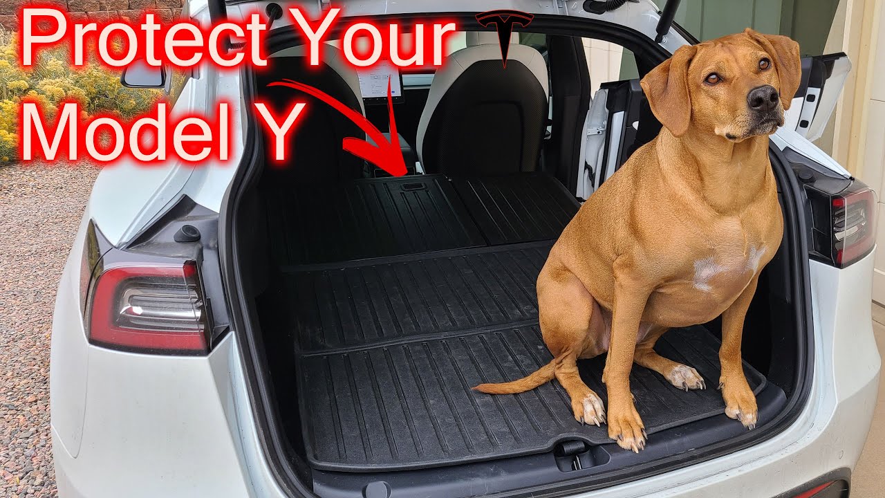 Dog-proofing Our Tesla Model Y - Part 1 Tesmanian Rear Seat Covers